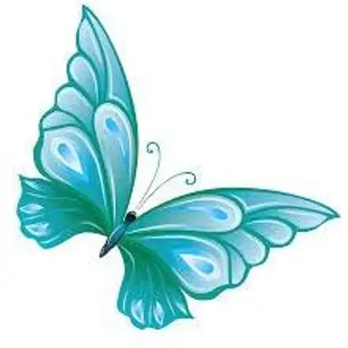 Turquoise Butterfly Designs
