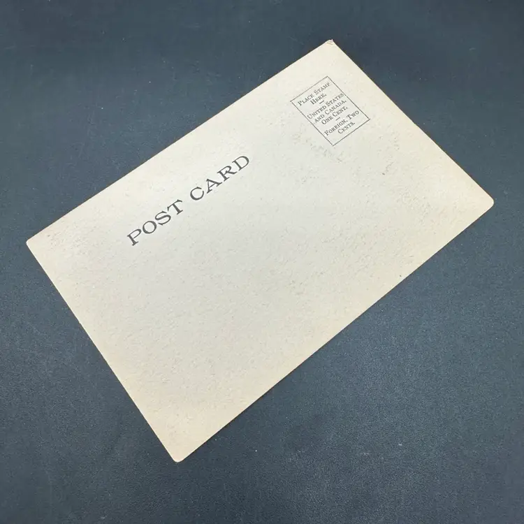 “For My Valentine” Black & White Sketch Artist Signed Antique Postcard, C. Allan Gilbert Girl