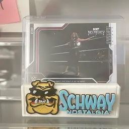 Joshi Wrestling Cards