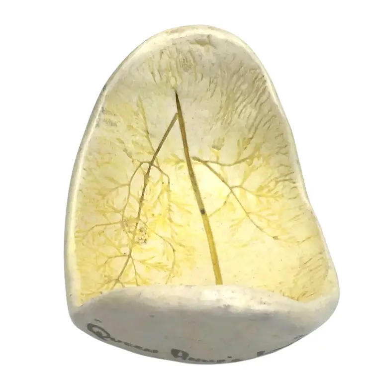 Pressed Clay Trinket Dish By Salt Marsh Pottery USA