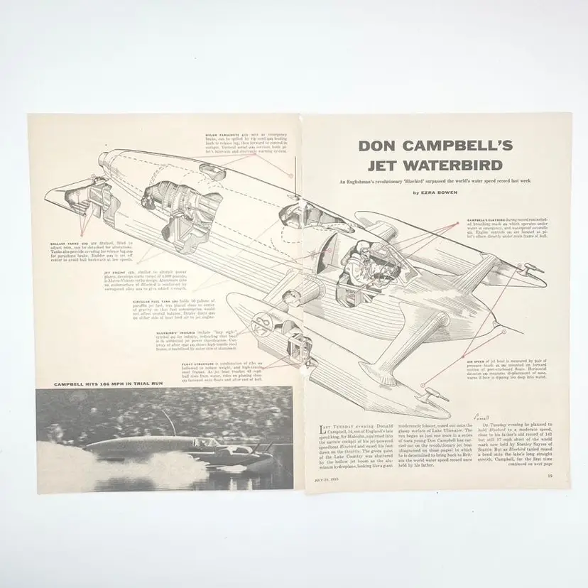 Donald Campbell Bluebird K7 Art Illustration Vintage 1950s Speed Boat Racing