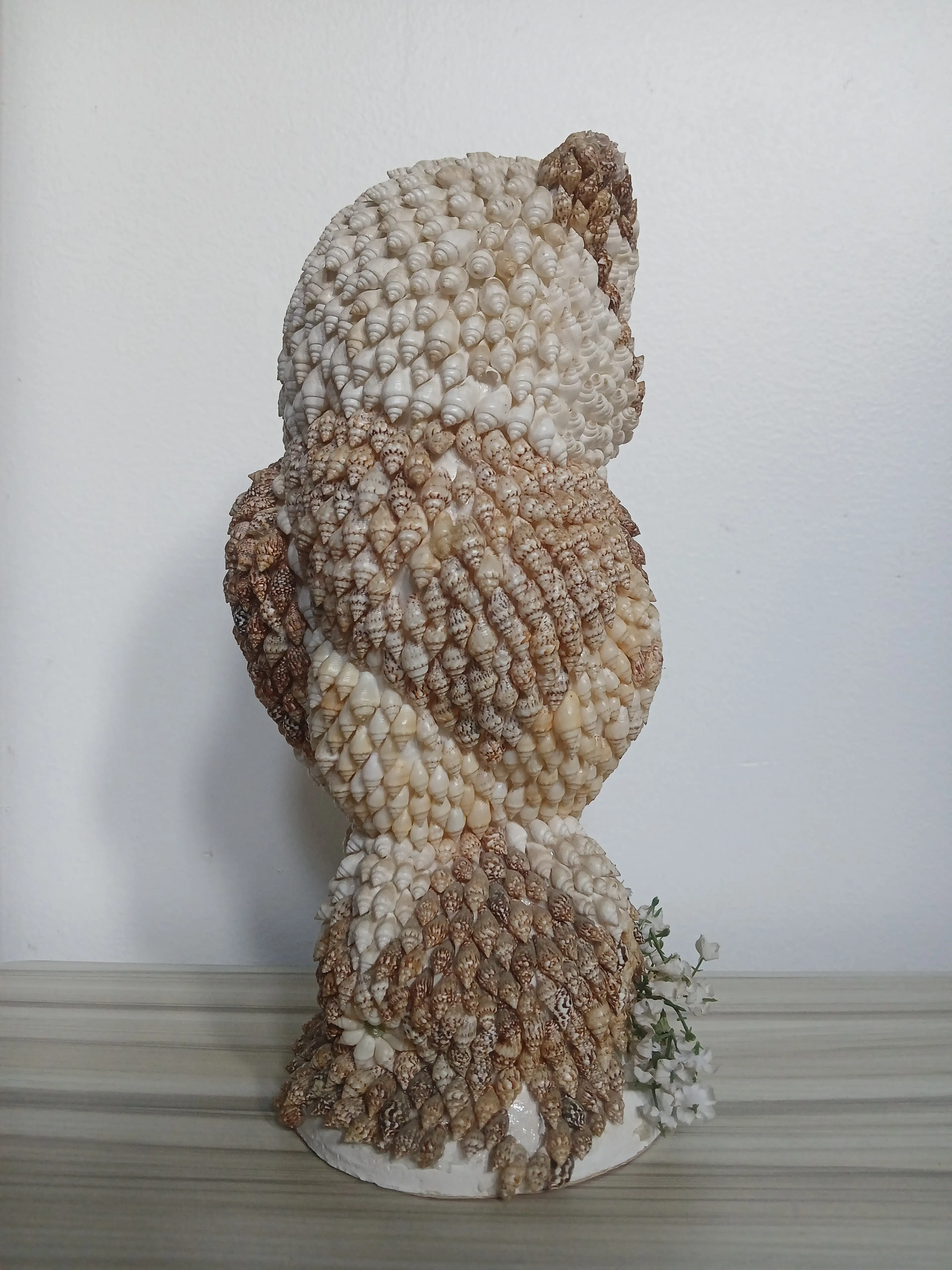 Image 4 of 16