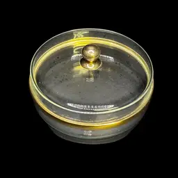 Glass with Gold Detail Vanity Powder Jar With Lid 2”