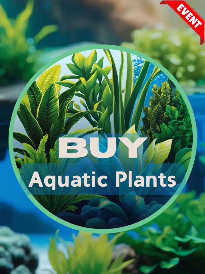 Livestream thumbnail