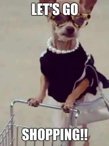 Let’s Shop Pottery