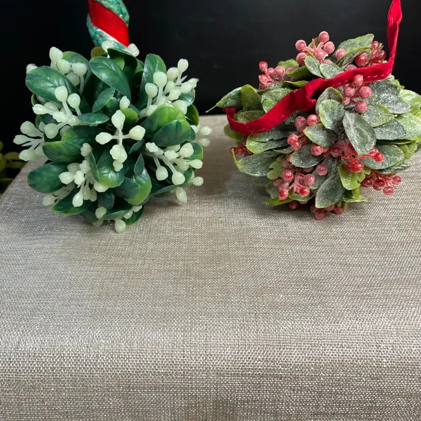 $10 Start-Mistletoe PlasTrashTastic