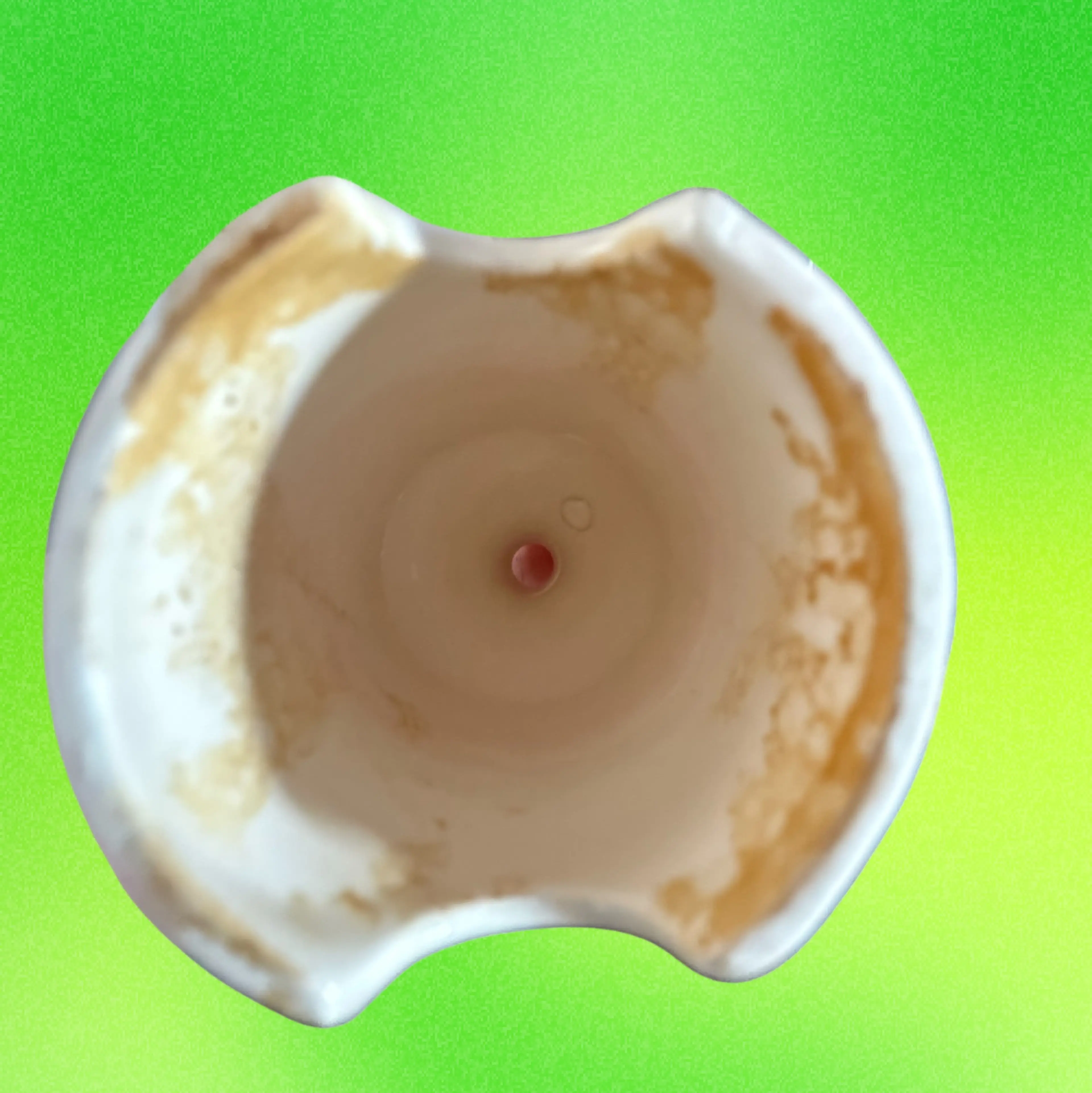 Image 5 of 5