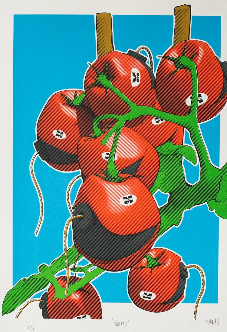 "GMNO Tomatoes" 2017