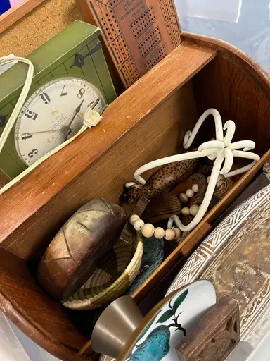 Goodwill Bins Haul! Day 13!!