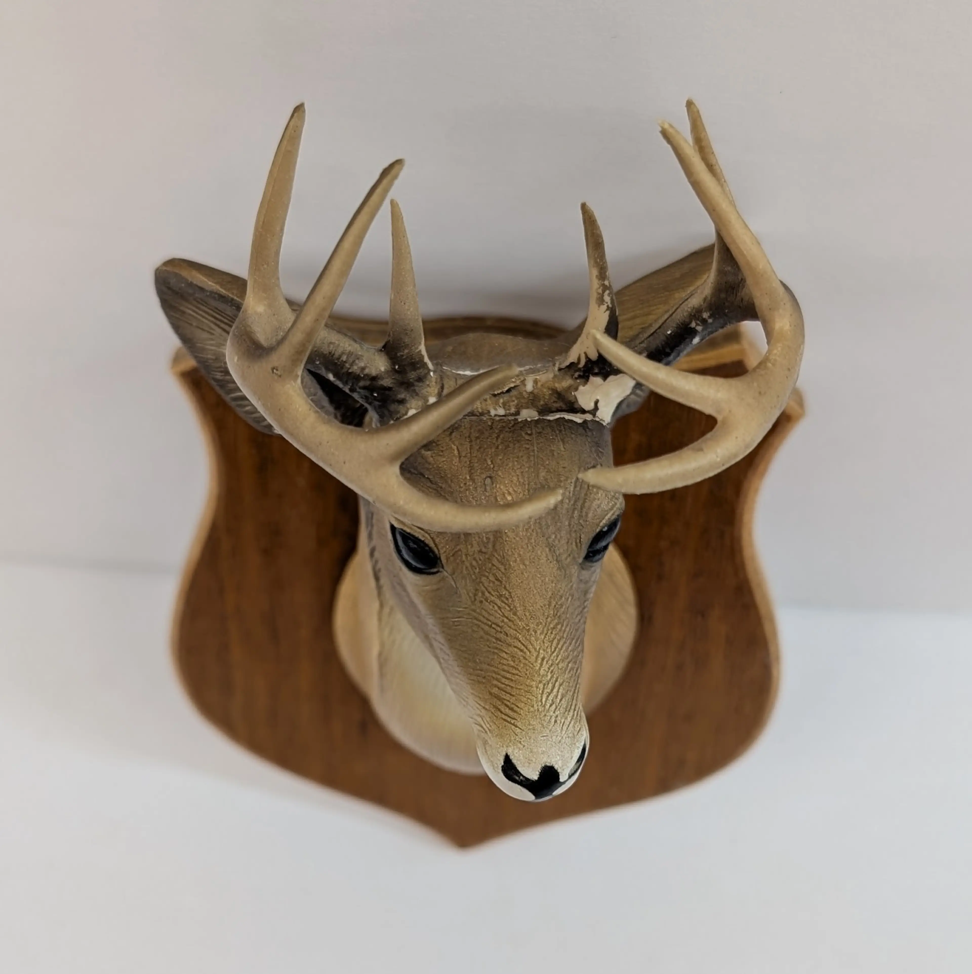 Image 4 of 10