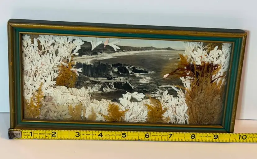 Vintage Oregon Coastal Diorama with Real Dried Sea Moss
