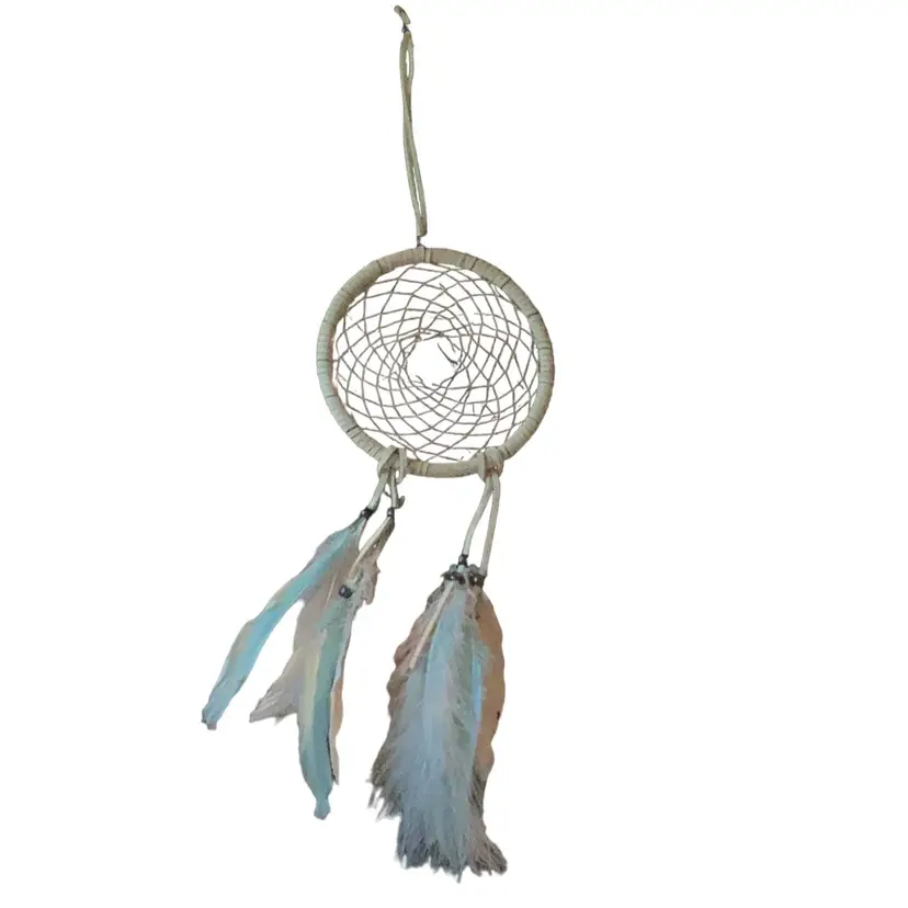 Indigenous Dreamcatcher With Blue And White Feathers And Beads