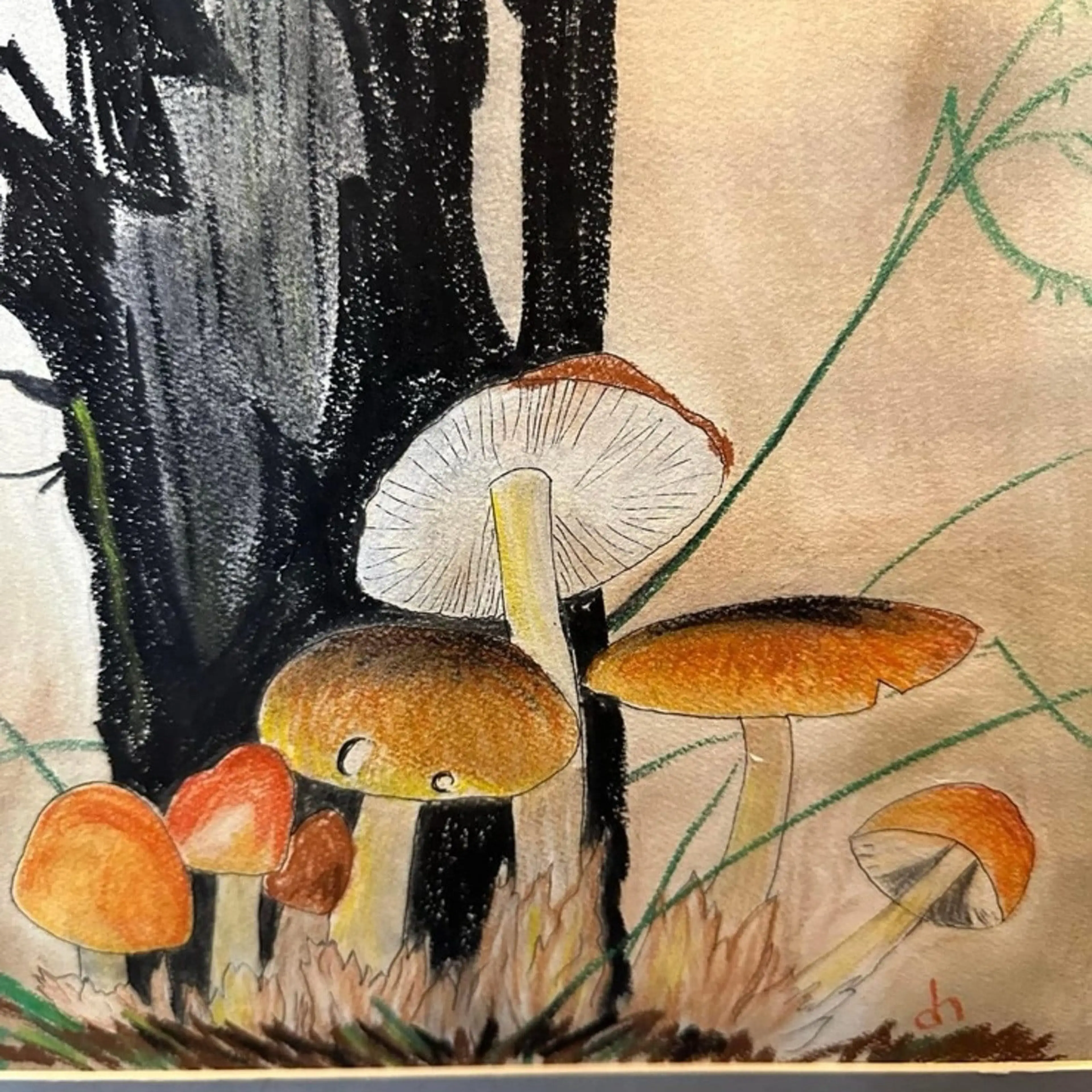 Image 4 of 6