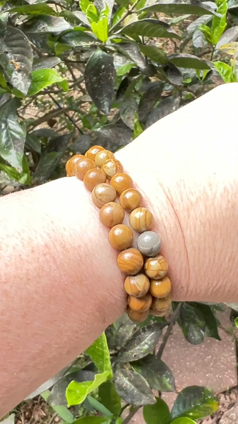 Petrified Fossilized 8mm Round Beads.  7” Stretch Bracelet Jewelry.