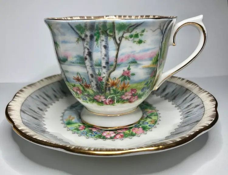 Royal Albert Silver Birch Teacup And Saucer