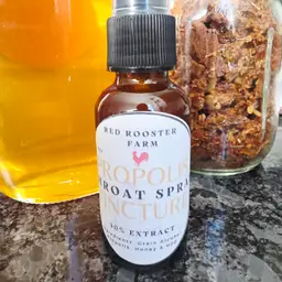 Propolis Tincture Throat Spray 1 oz
