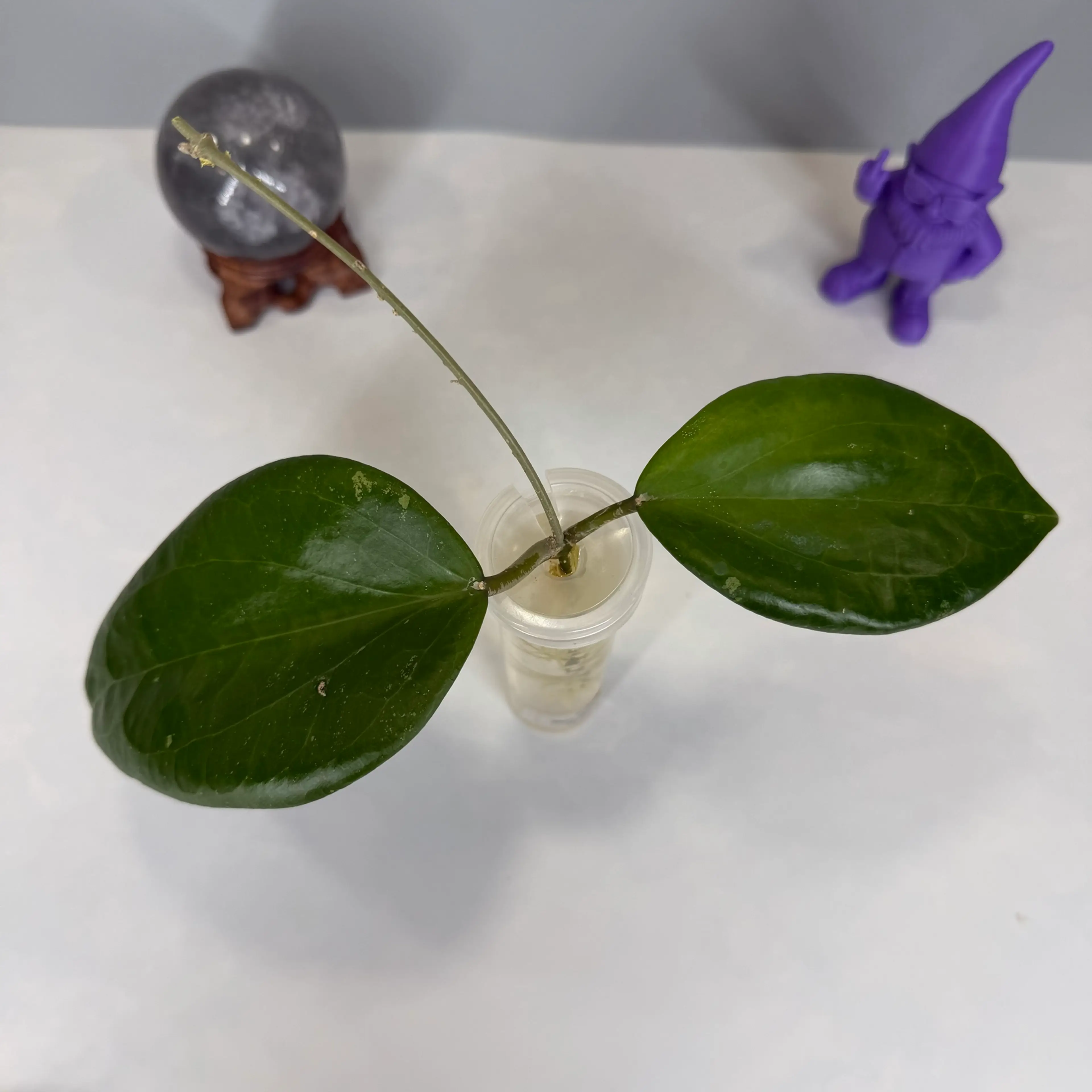 Image 2 of 3