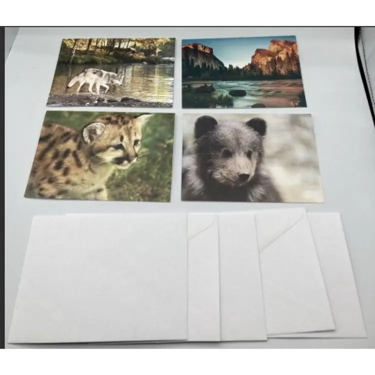 5 wild life postcards blank inside & envelopes