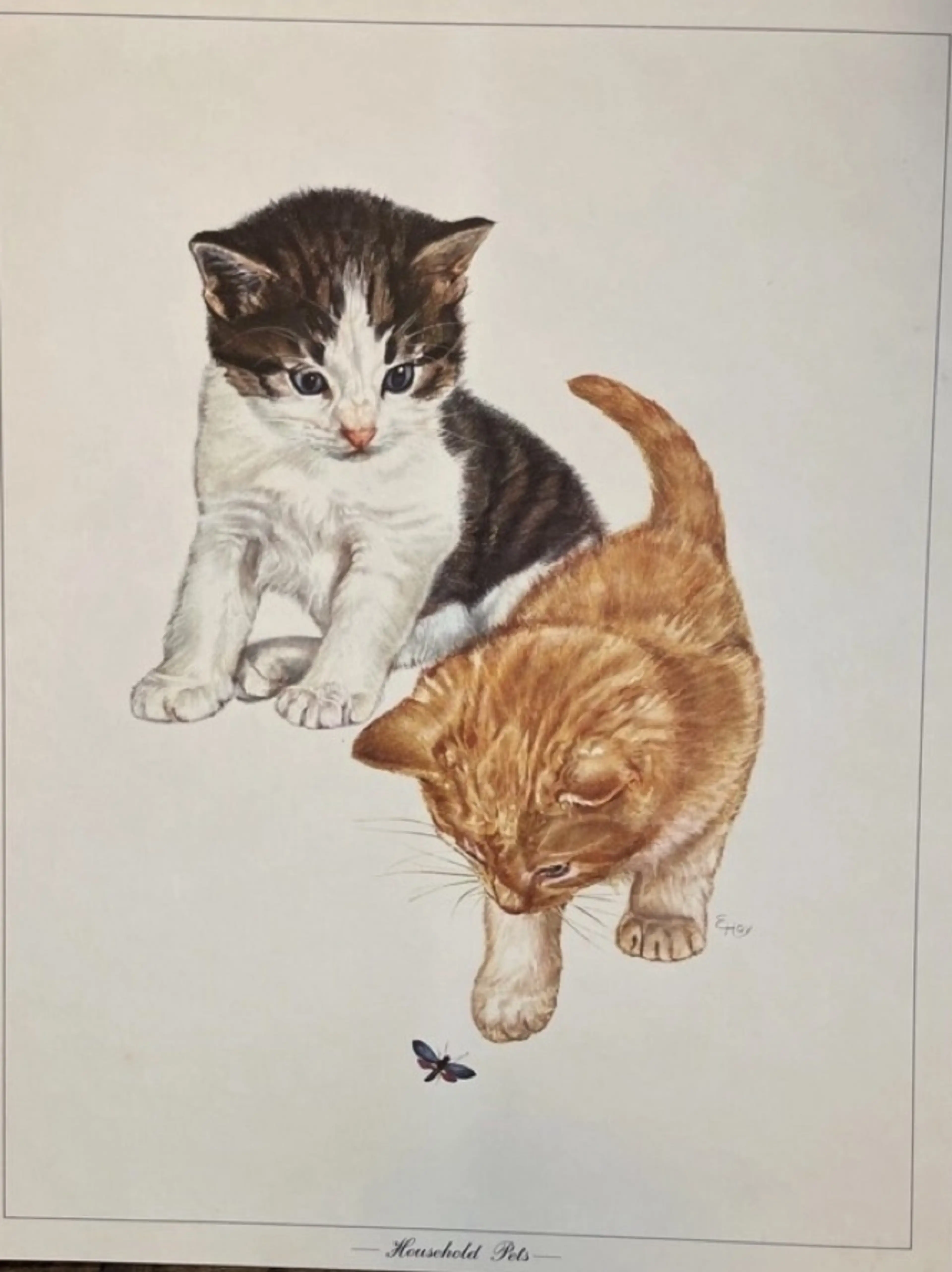 Image 3 of 11