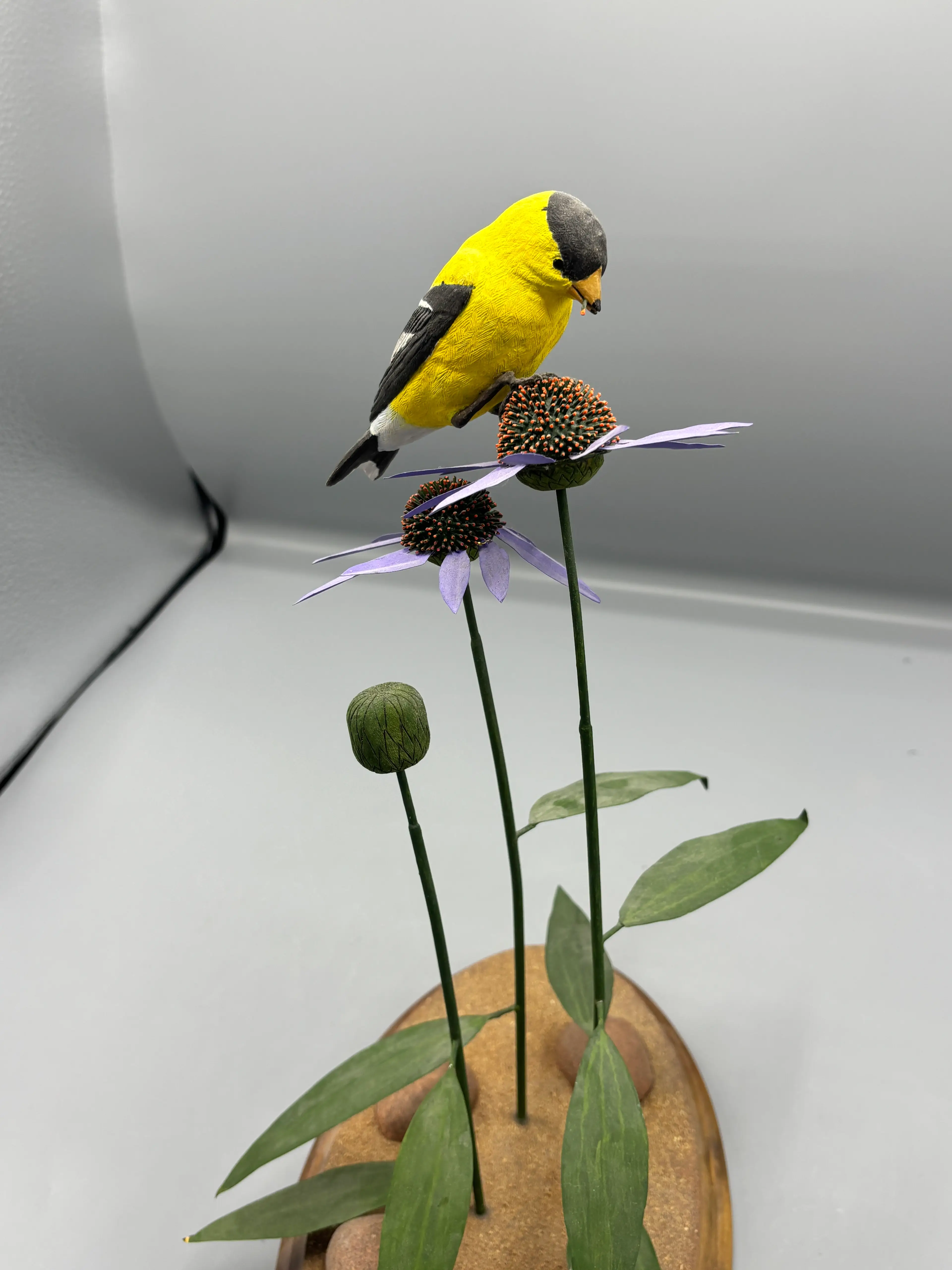 Image 3 of 7
