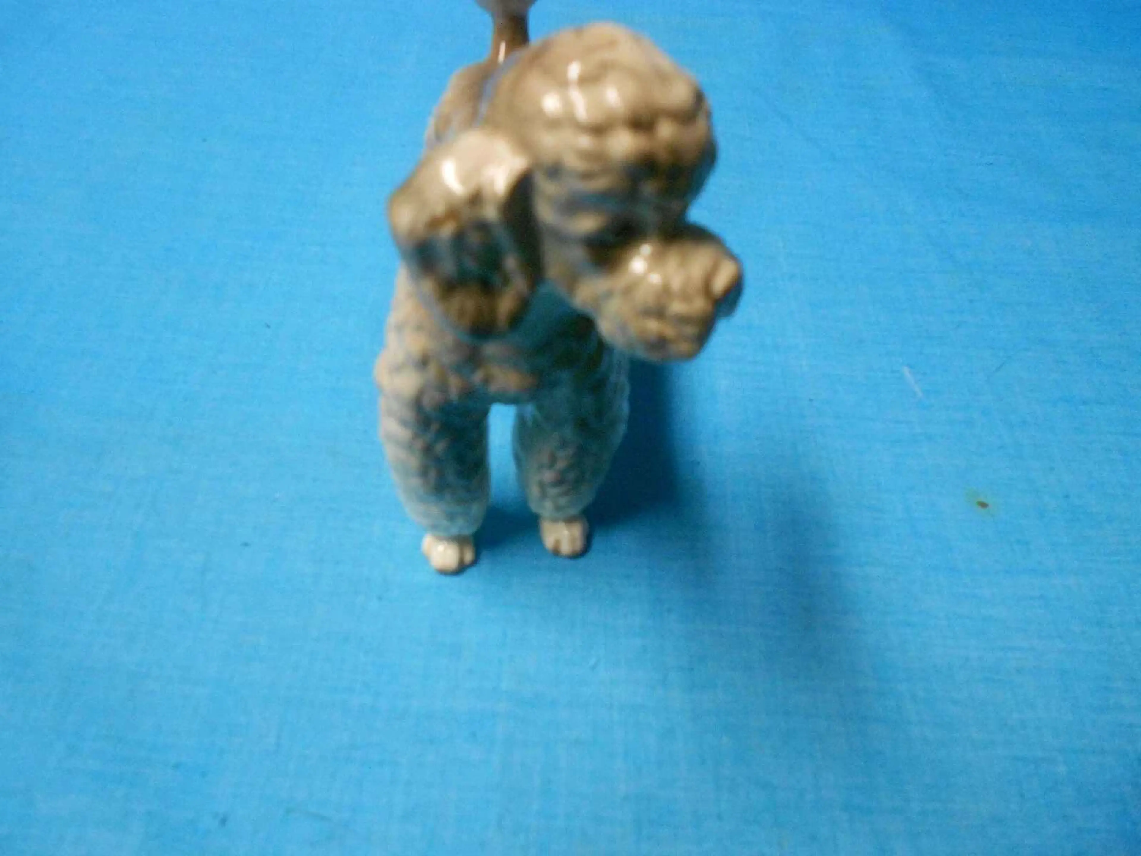 Image 5 of 7