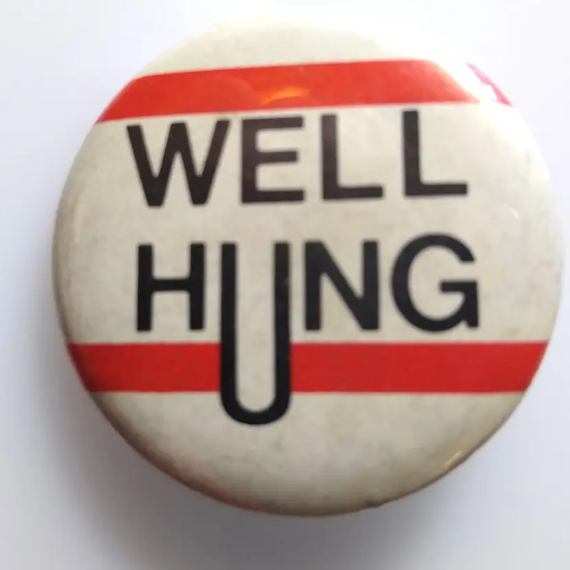 Well Hung Vintage Pinback Button Badge Pin Metal Retro