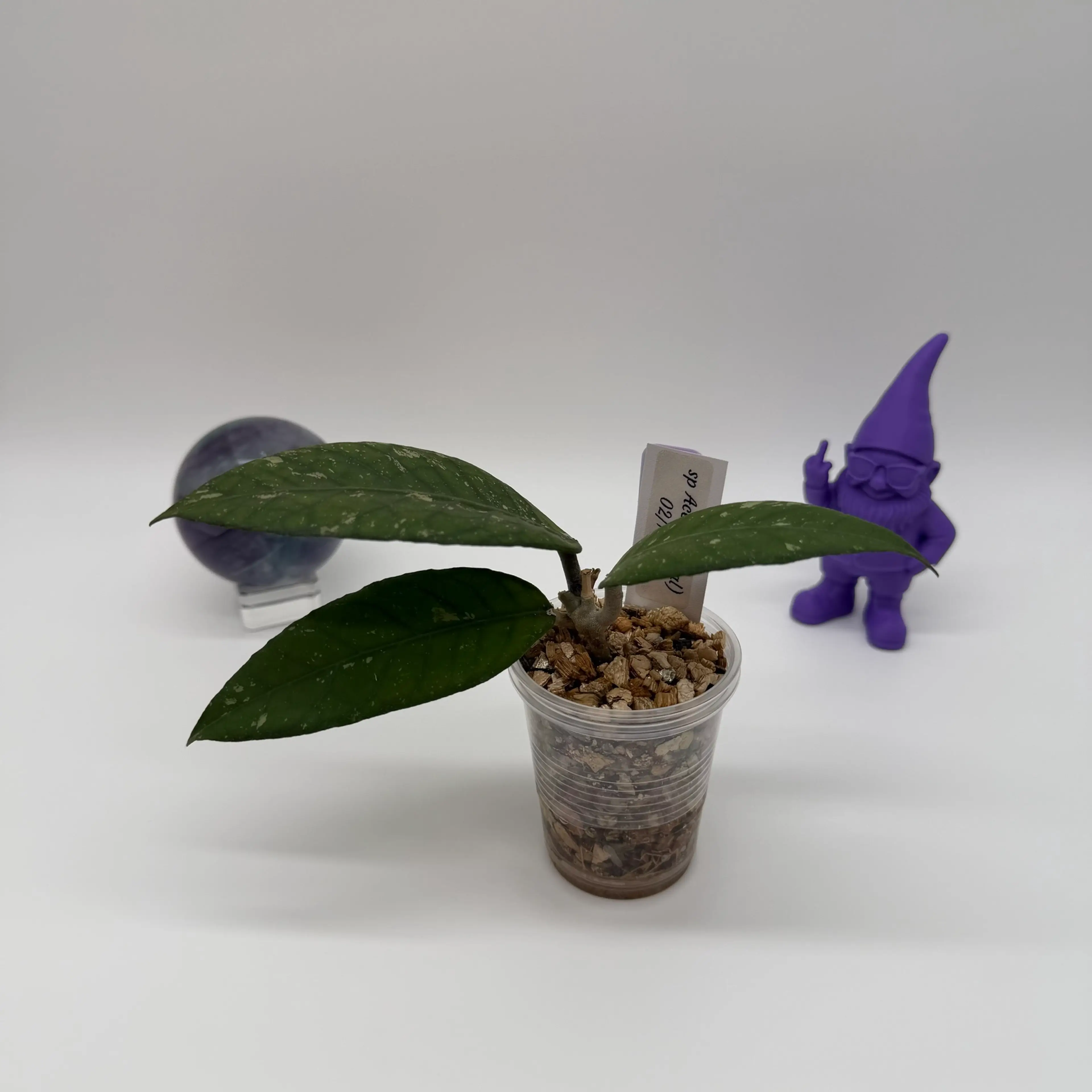 Image 2 of 3