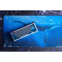 Whale PBT (Unused Return)