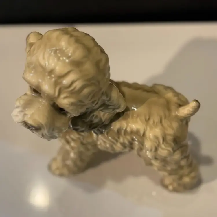 Vintage 1950s Poodle 🐩