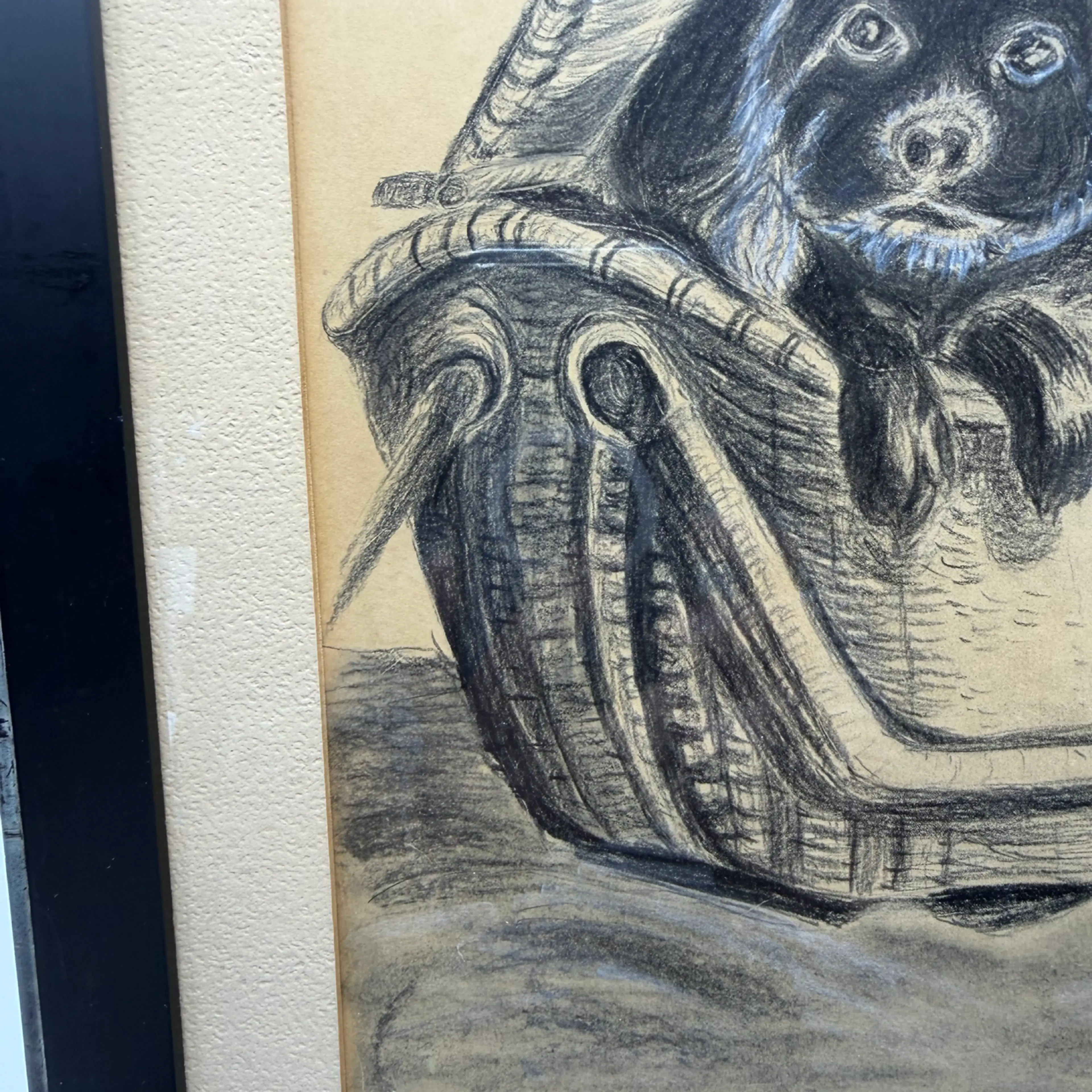 Image 3 of 10