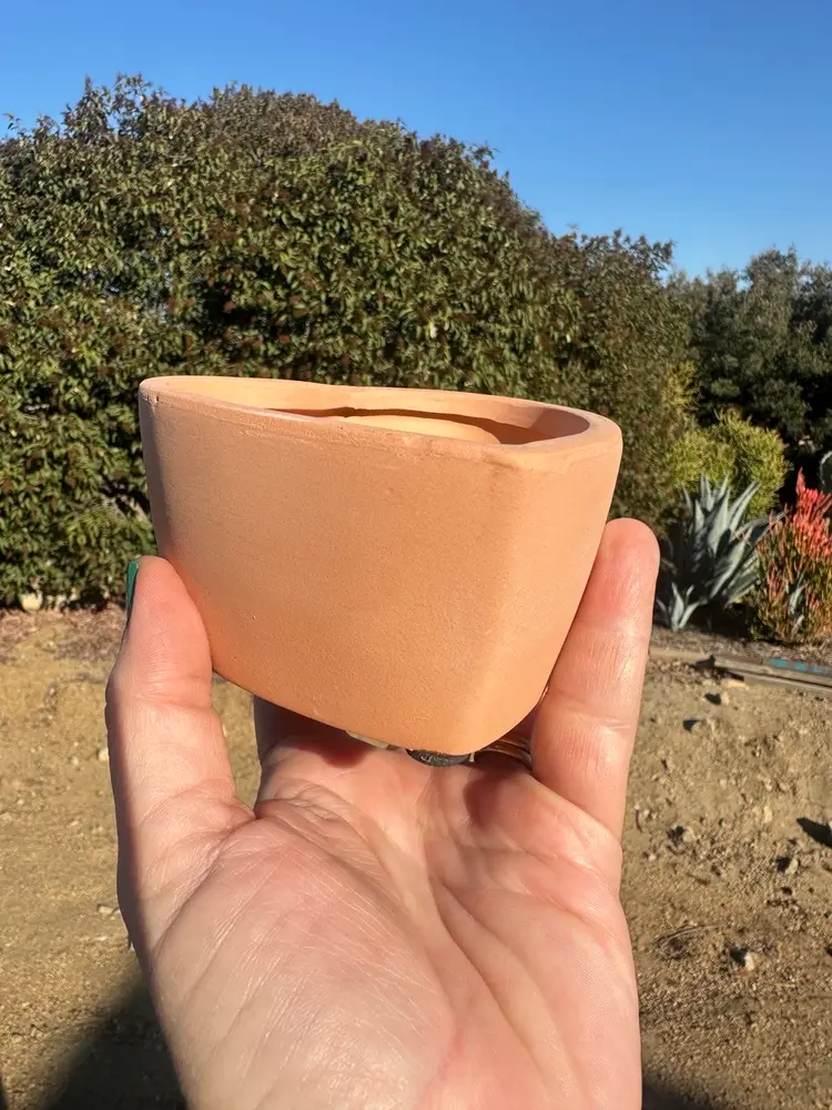 Sweetheart Terra cotta Pot