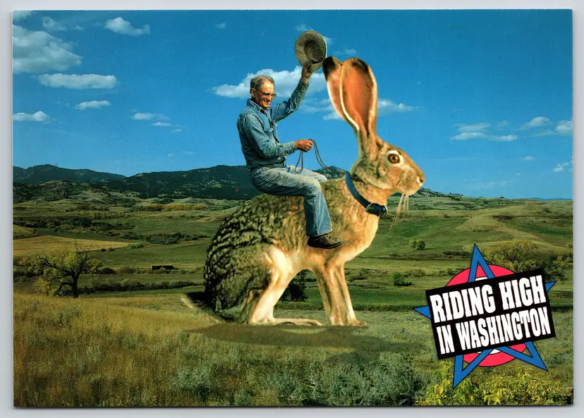 Postcard Riding High in Washington Rancher Riding on Exaggerated Rabbit Bunny - 15040