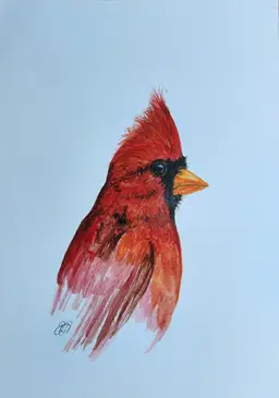 Cardinal Original Watercolor Painting Signed By The Artist 5x7 Free Shipping