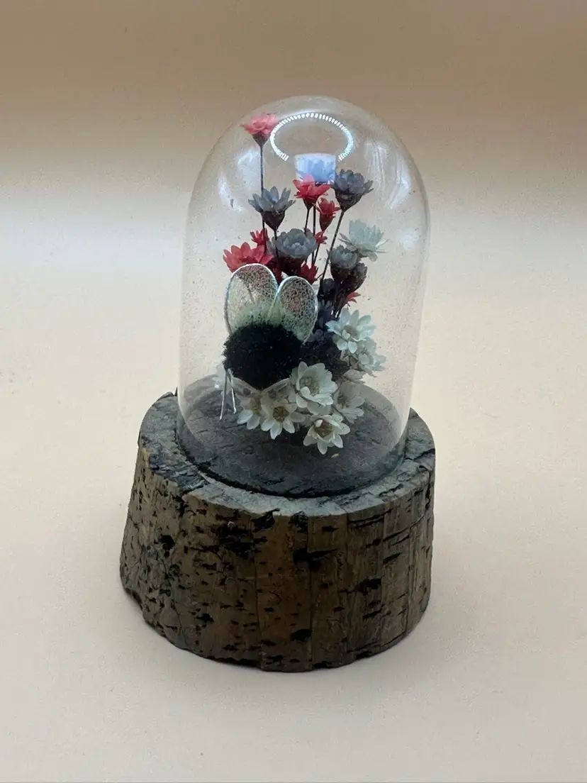 Vintage Daisyglas Company Dried Flowers And Bee Under Cloche On Cork