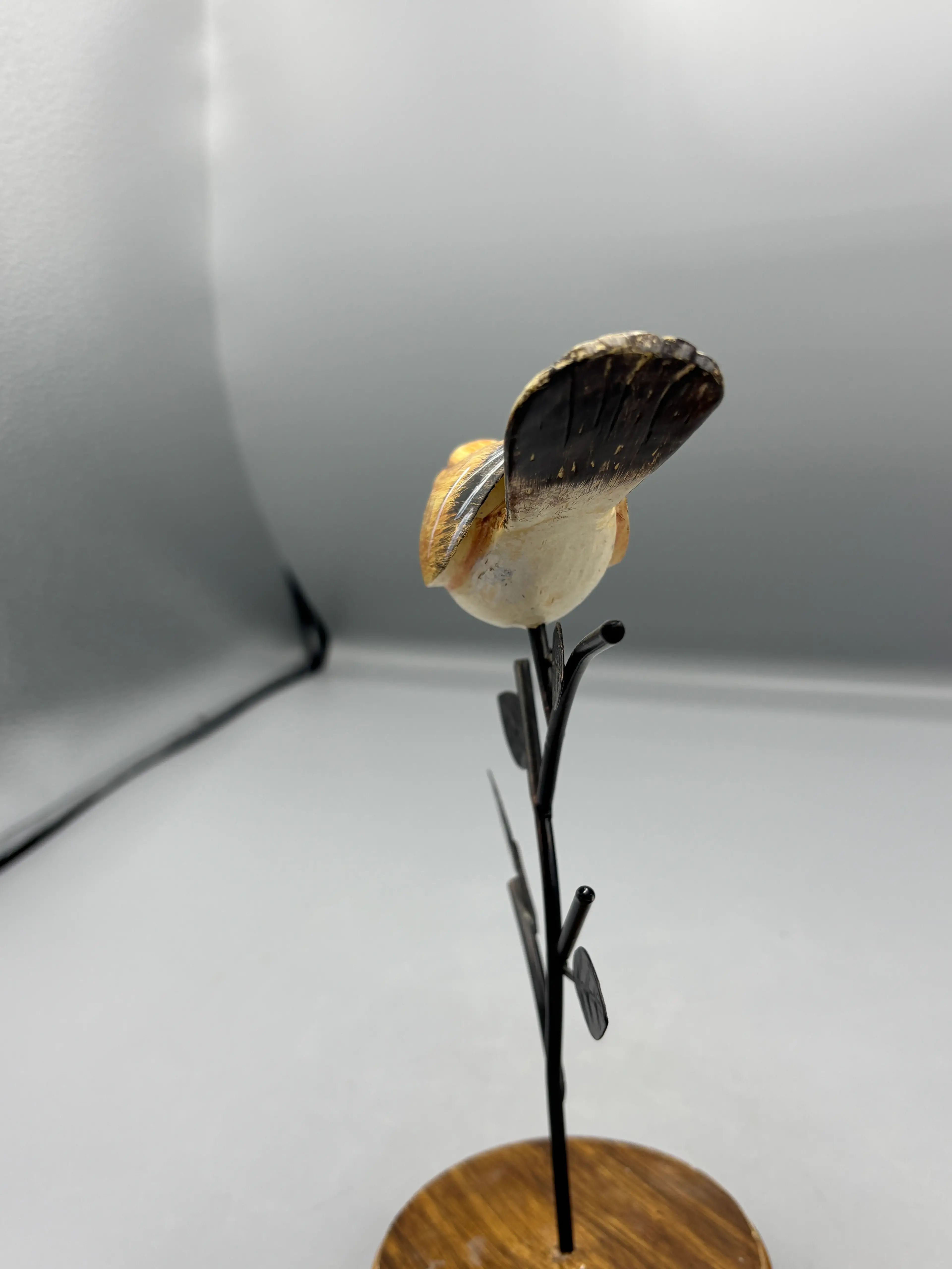 Image 5 of 6