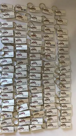 90 Count San Francisco Giants Team Logo Engraved Name Keychain Lot