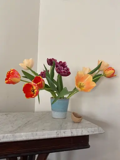 Joining The Trail And I Have Some Pots For Sale!!!!