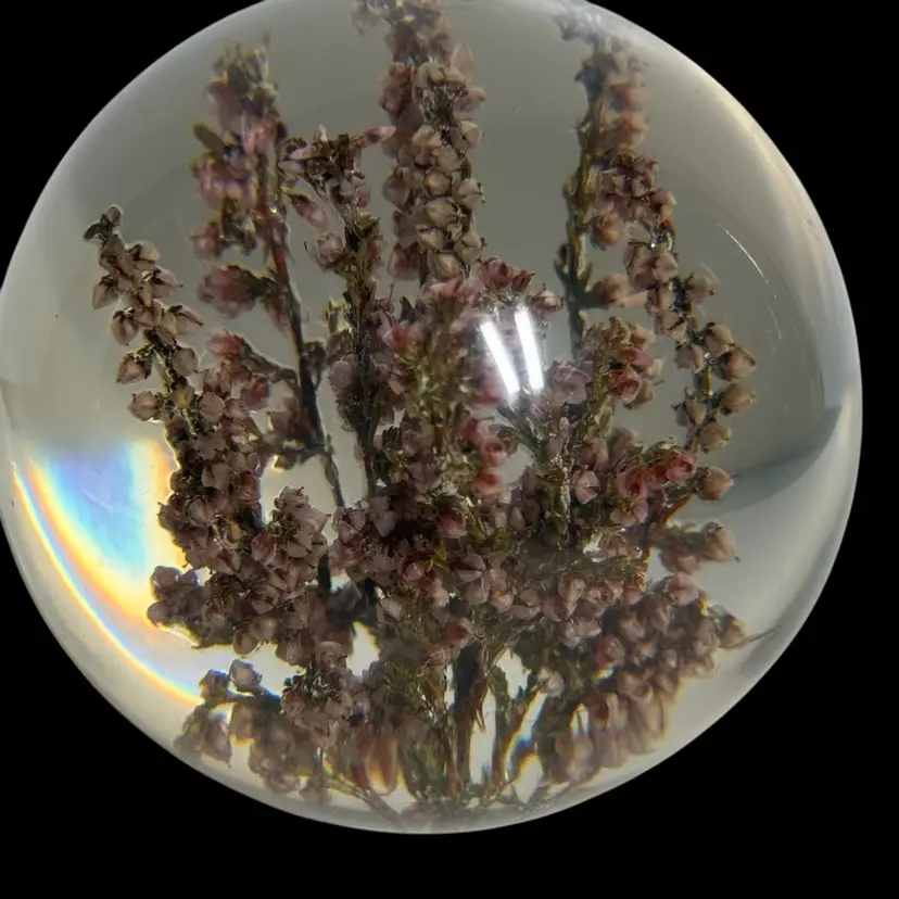 Hafod Grange Dried Pink Heather Flowers Resin Paperweight 3.25”