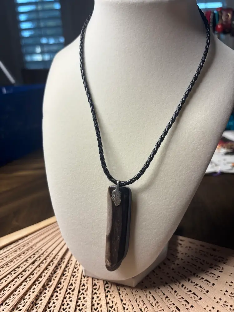 Polished Petrified Wood Pendant