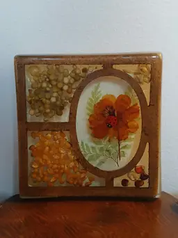 Vintage MCM 1970's Lucite Trivet
