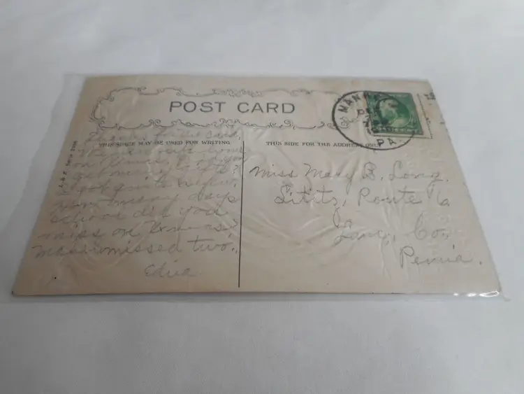 Vintage New Year's Postcard posted written Fire Poinsettia 1910