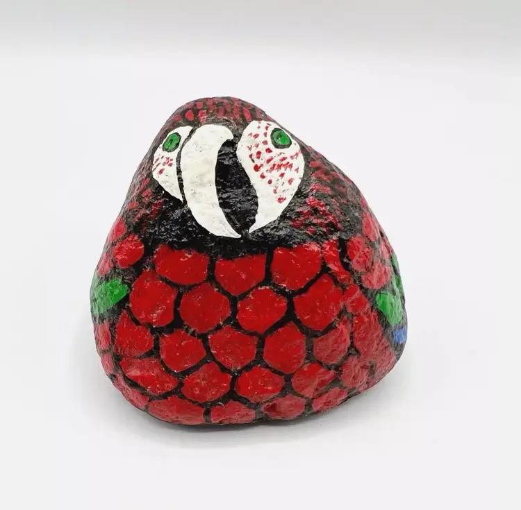 Hand Painted Parrot Rock Art Bird Paperweight Red Blue Signed Artisan 3.5"