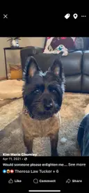 Knick Knack Janny Whack