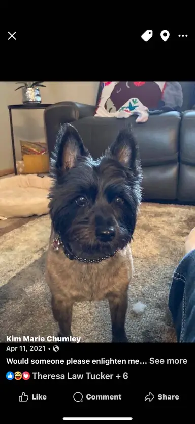 Knick Knack Janny Whack