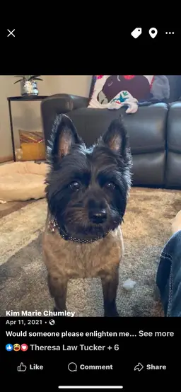 knickknackjannywhack