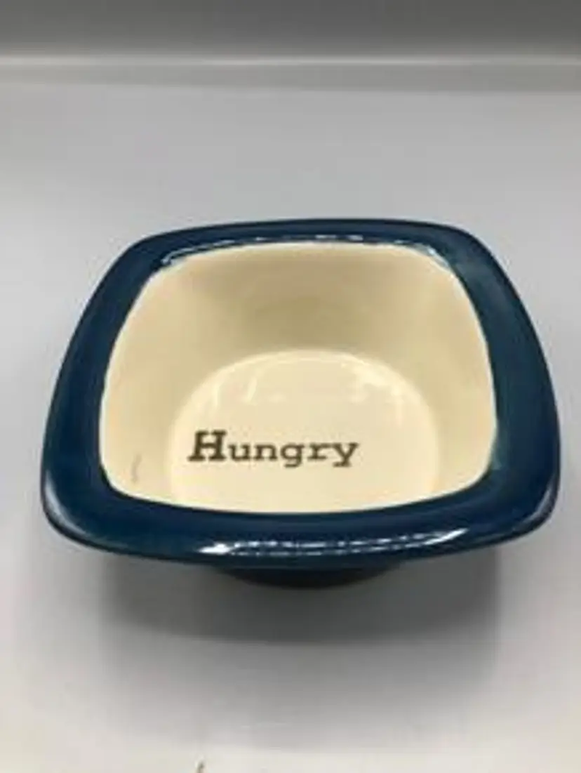 Hungry Dog Bowl