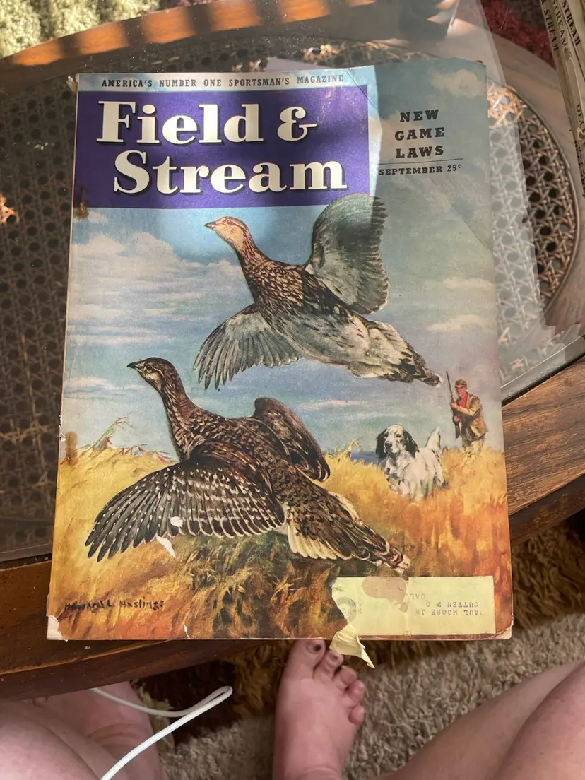 January 1941 Field And Stream Magazine