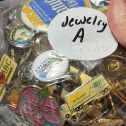 Lapel Pin Lot