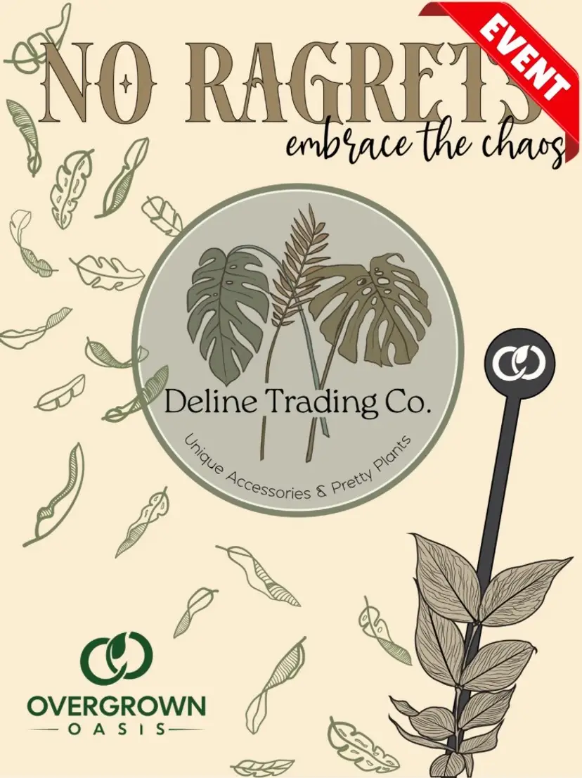 Livestream thumbnail