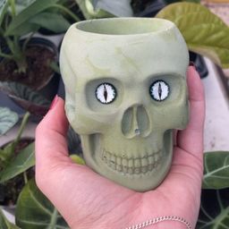 Pot
